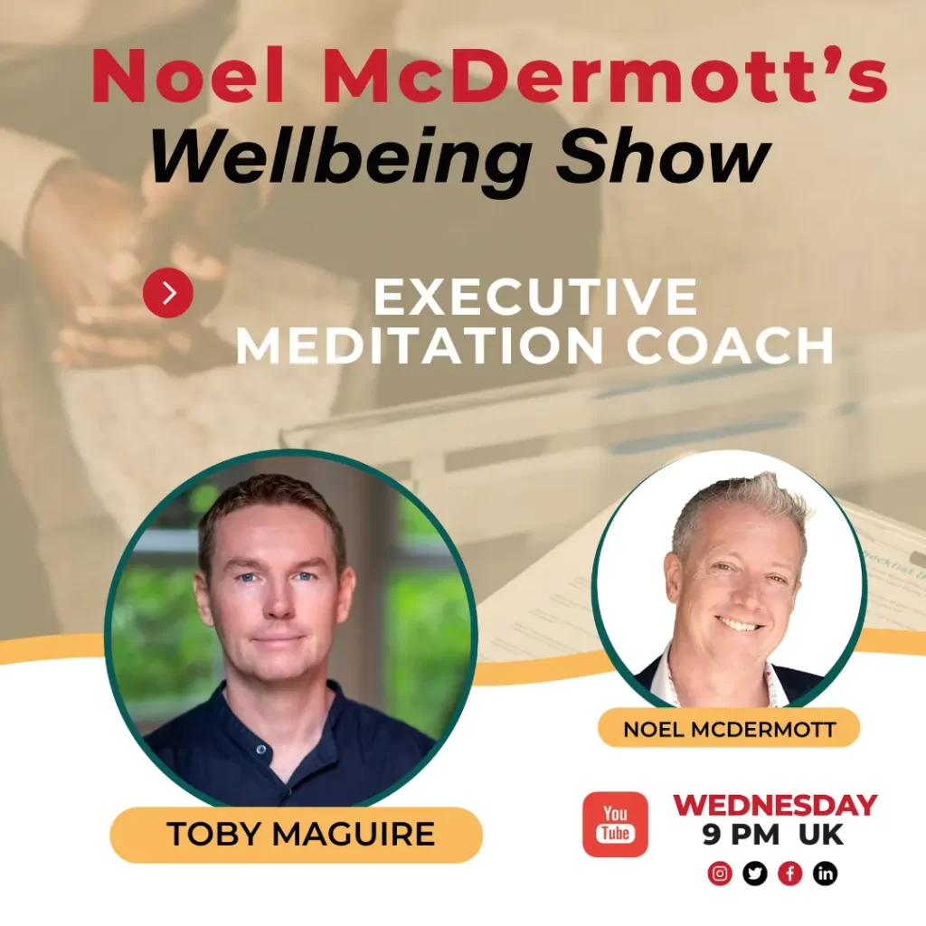 The Well-Being Show with Noel McDermott - Toby Maguire - Executive Meditation Coach