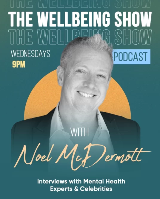 the wellbeing show cover podcast noel mc dermottt